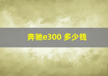 奔驰e300 多少钱